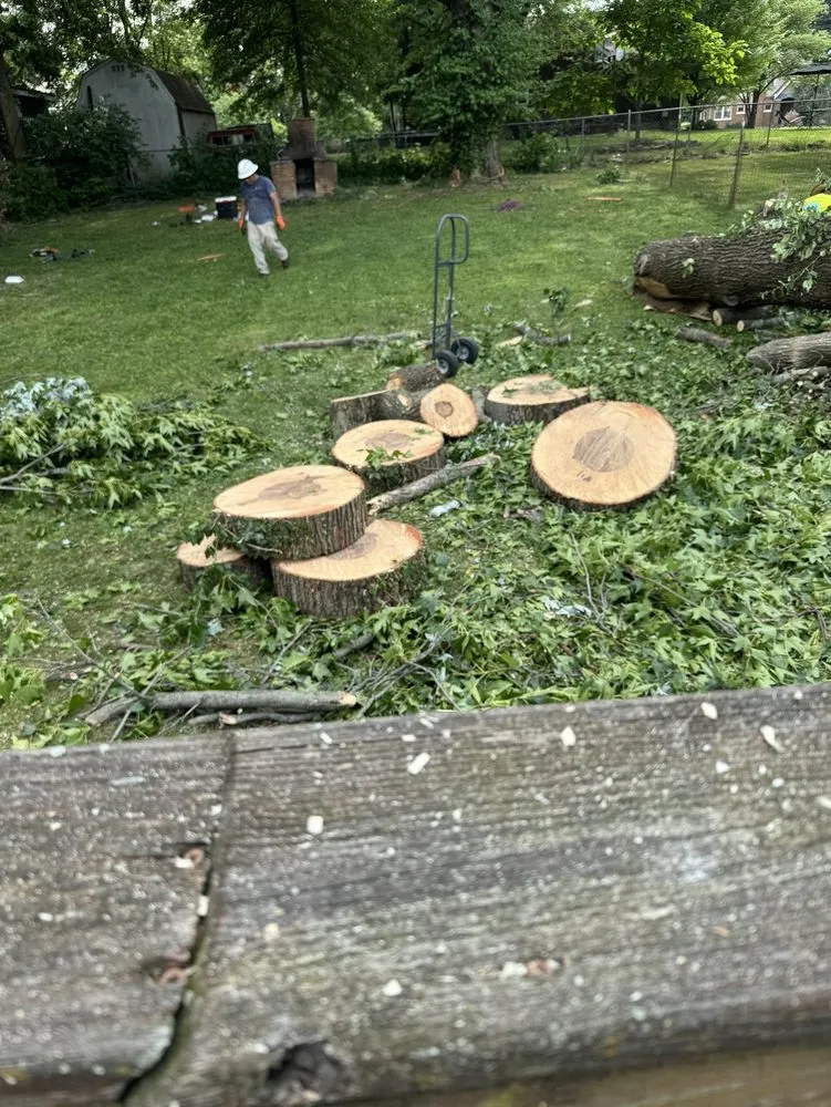 Local lawn mowing service in Cincinnati, OH by Vasquez Tree service & landscaping