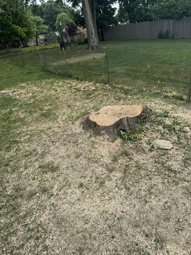 Affordable landscape design in Cincinnati, OH by Vasquez Tree service & landscaping