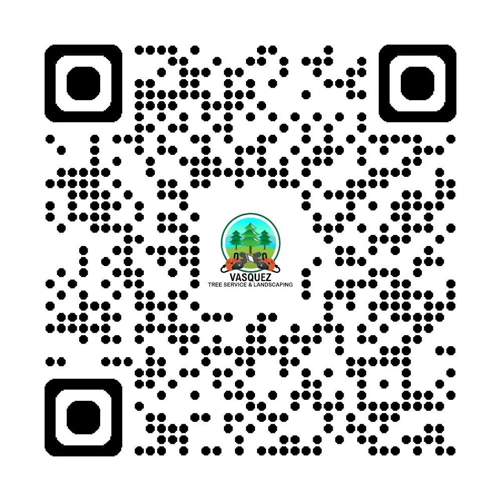 Local landscape installation for homes in Cincinnati, OH by Vasquez Tree service & landscaping