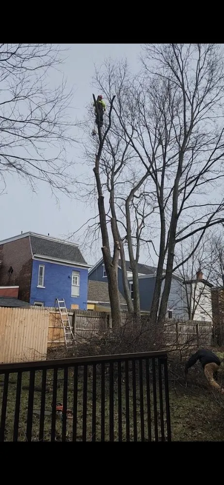 Expert yard cleanup service with custom design in Cincinnati, OH by Vasquez Tree service & landscaping