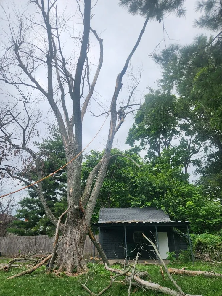 Reliable landscape design for beautiful yards across Cincinnati, OH - Vasquez Tree service & landscaping