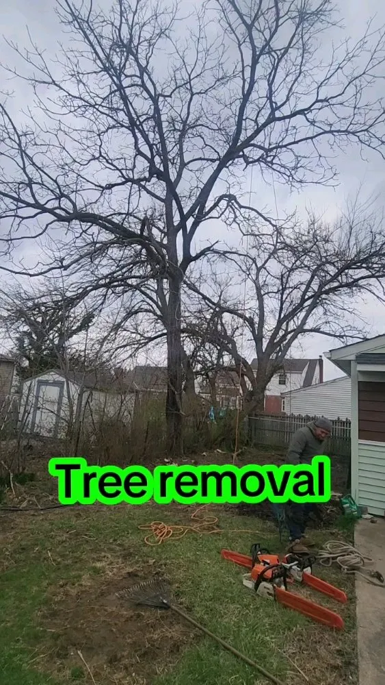 Reliable residential landscaping in Cincinnati, OH by Vasquez Tree service & landscaping