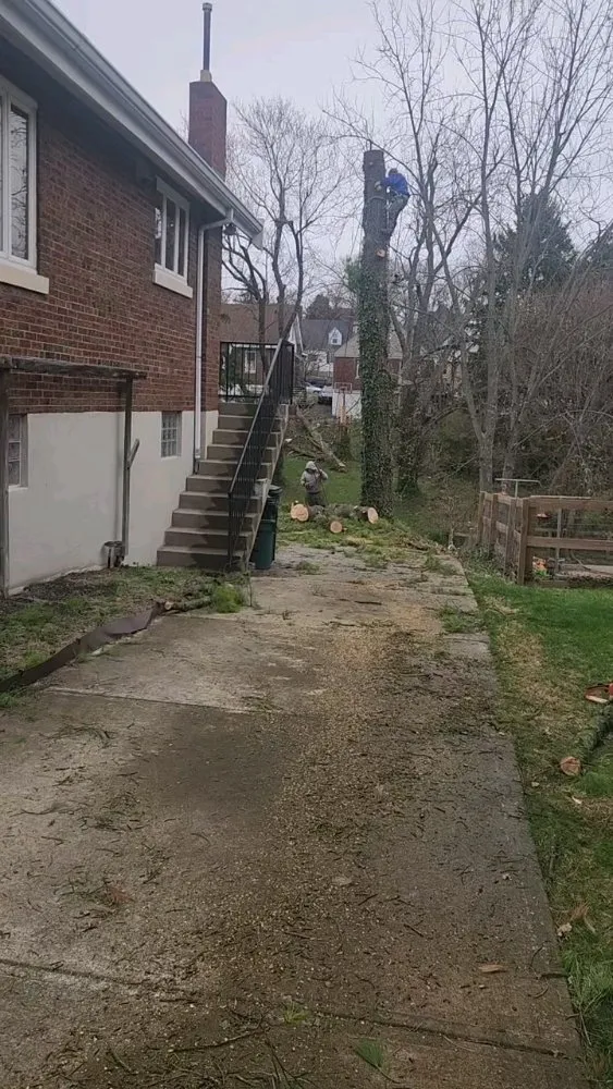 Professional landscaping services in Cincinnati, OH - Vasquez Tree service & landscaping