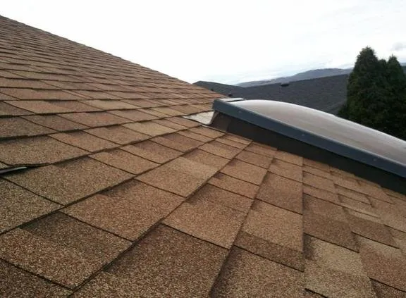 Local yard cleanup service for outdoor upgrades across Culpeper, VA - Vasquez Tree Service & Landscaping