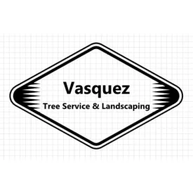 Top-rated yard maintenance near you in Culpeper, VA by Vasquez Tree Service & Landscaping