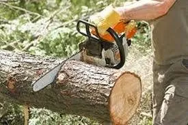 Professional lawn mowing service for outdoor upgrades across Culpeper, VA - Vasquez Tree Service & Landscaping