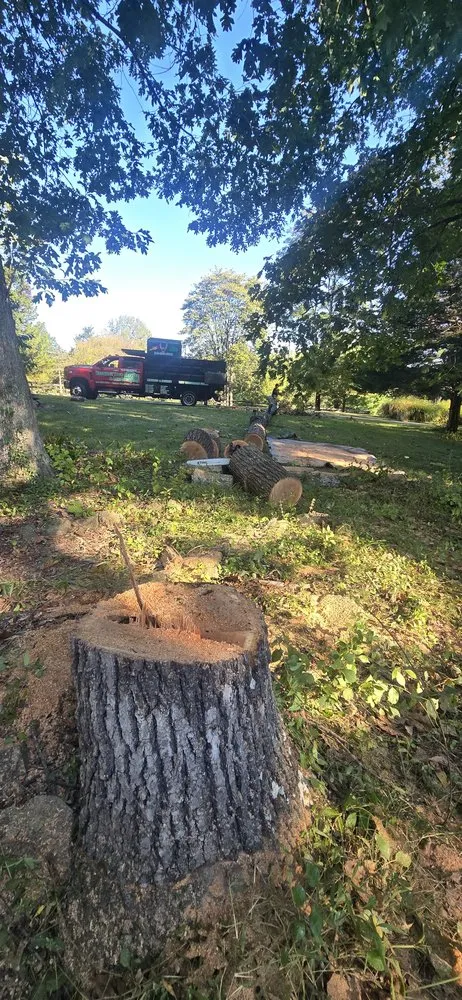 Expert landscape installation for outdoor upgrades in Culpeper, VA by Vasquez Tree Service and Landscaping
