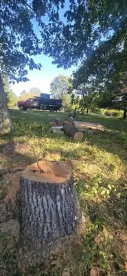 Vasquez Tree Service and Landscaping Logo