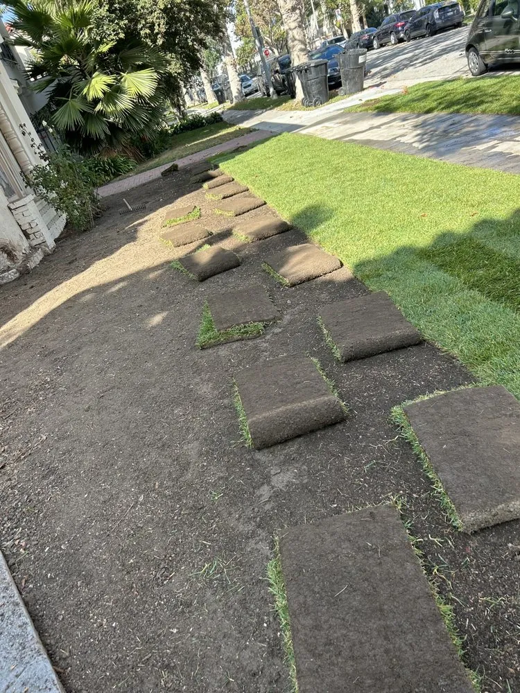 Professional lawn mowing service for outdoor upgrades across Cudahy, CA - Vasquez Tree Service