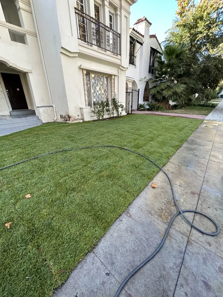Affordable lawn care service for year-round maintenance in Cudahy, CA by Vasquez Tree Service