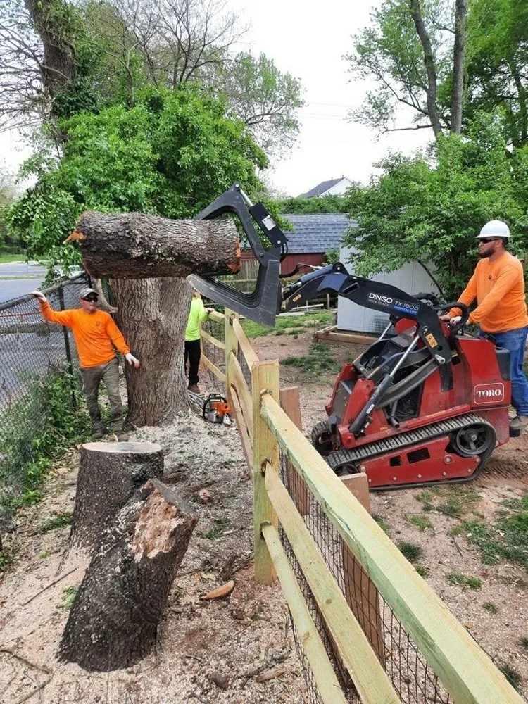 Local residential landscaping in Germantown, MD - Vasquez Tree Service