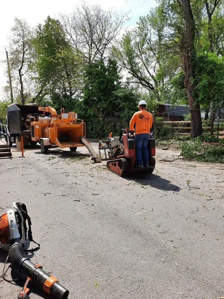 Affordable residential landscaping experts serving Germantown, MD - Vasquez Tree Service