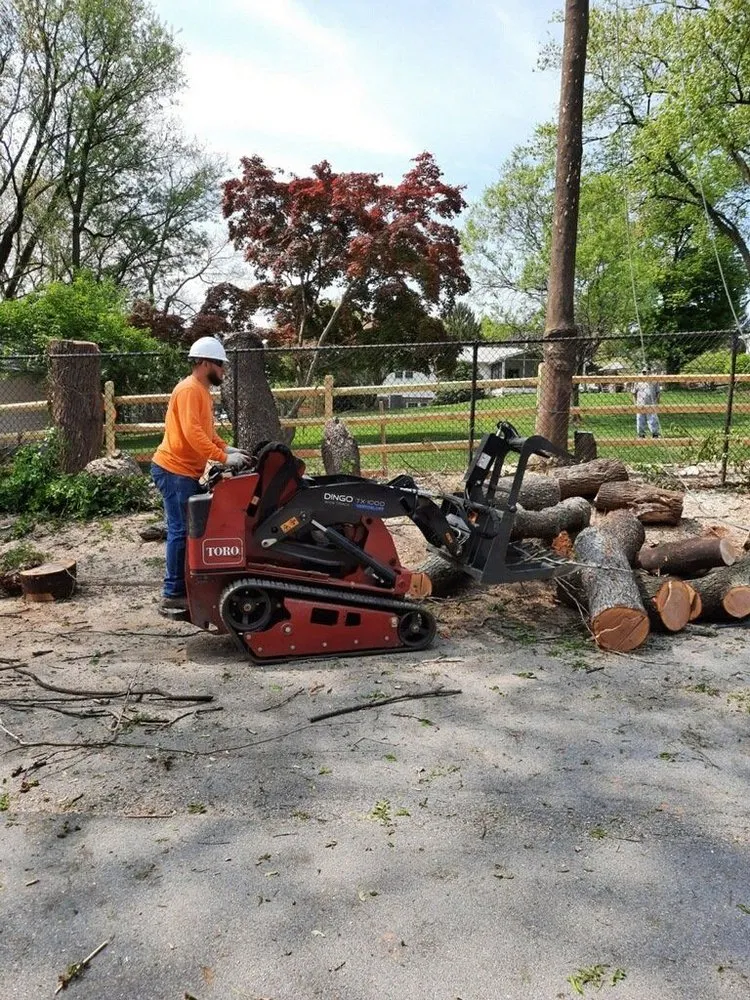 Trusted landscape design experts serving Germantown, MD - Vasquez Tree Service