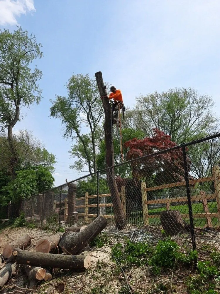 Affordable outdoor landscaping experts serving Germantown, MD - Vasquez Tree Service