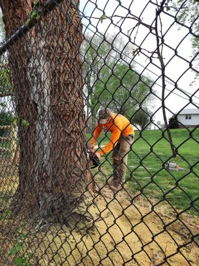 Expert yard cleanup service for outdoor upgrades in Germantown, MD by Vasquez Tree Service