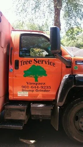 Top-rated yard maintenance for residential properties across Little Rock, AR - Vasquez Tree Service