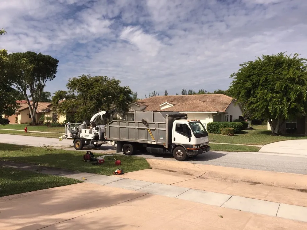Top-rated lawn care service experts serving West Palm Beach, FL - Vasquez Tree Service