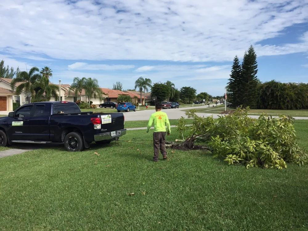 Reliable lawn care service for beautiful yards across West Palm Beach, FL - Vasquez Tree Service