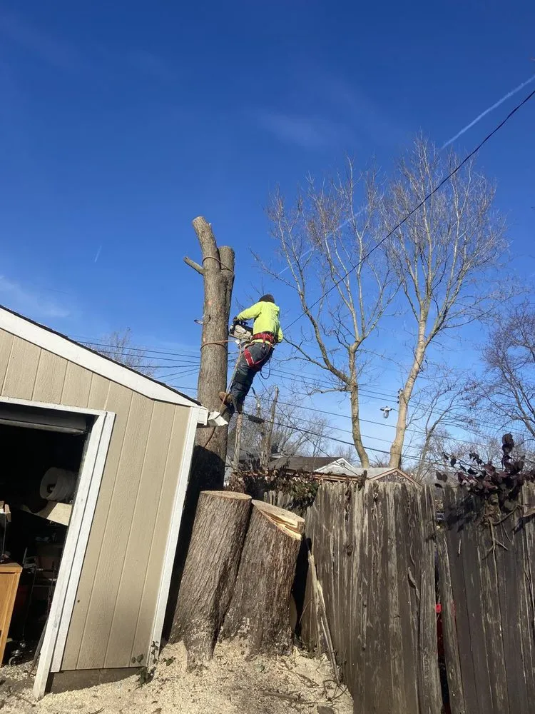 Trusted lawn mowing service in Indianapolis, IN by Vasquez Tree Services & Landscaping