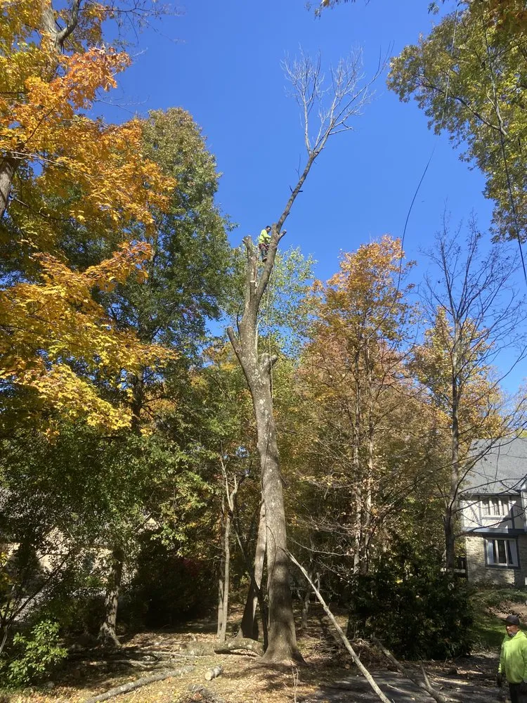 Custom residential landscaping for outdoor upgrades across Indianapolis, IN - Vasquez Tree Services & Landscaping