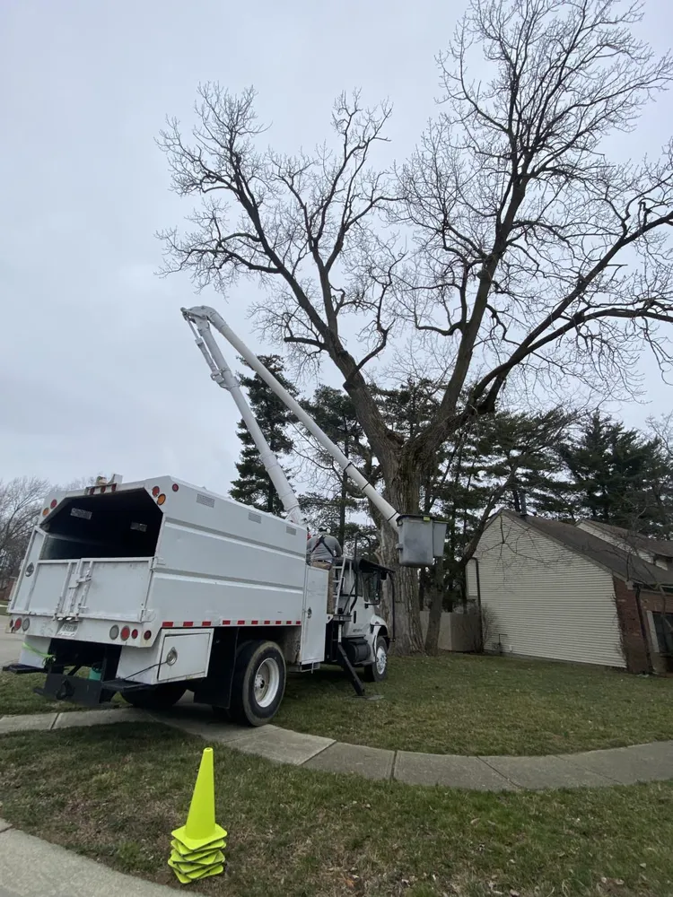 Reliable yard cleanup service in Indianapolis, IN by Vasquez Tree Services & Landscaping