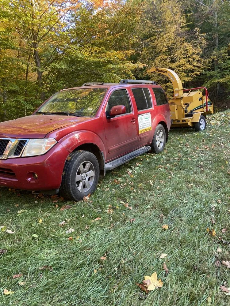 Professional yard maintenance for outdoor upgrades across Indianapolis, IN - Vasquez Tree Services & Landscaping