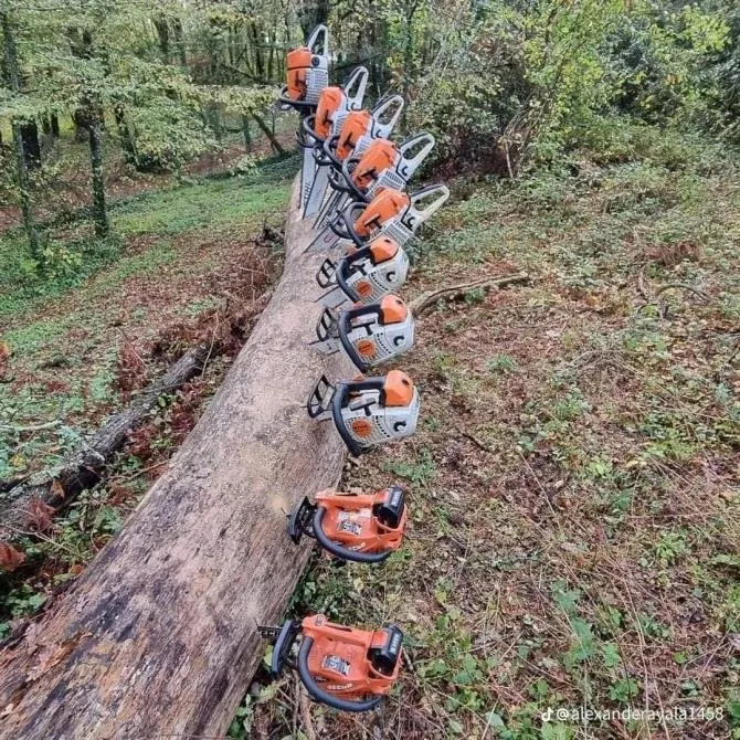 Custom yard cleanup service for year-round maintenance in Indianapolis, IN by Vasquez Tree Services & Landscaping