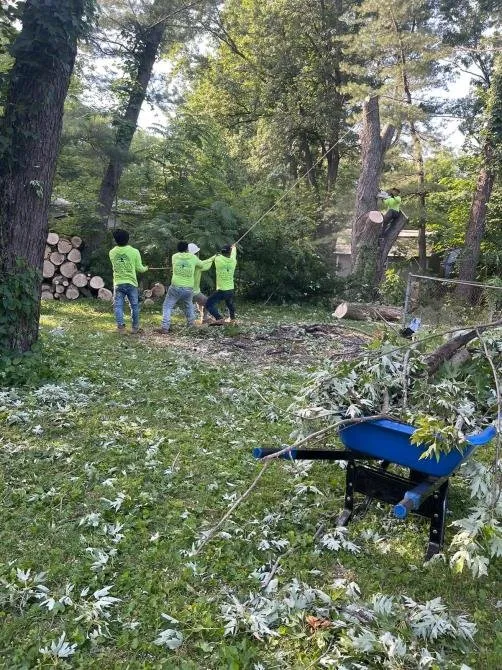 Trusted garden landscaping in Indianapolis, IN by Vasquez Tree Services & Landscaping