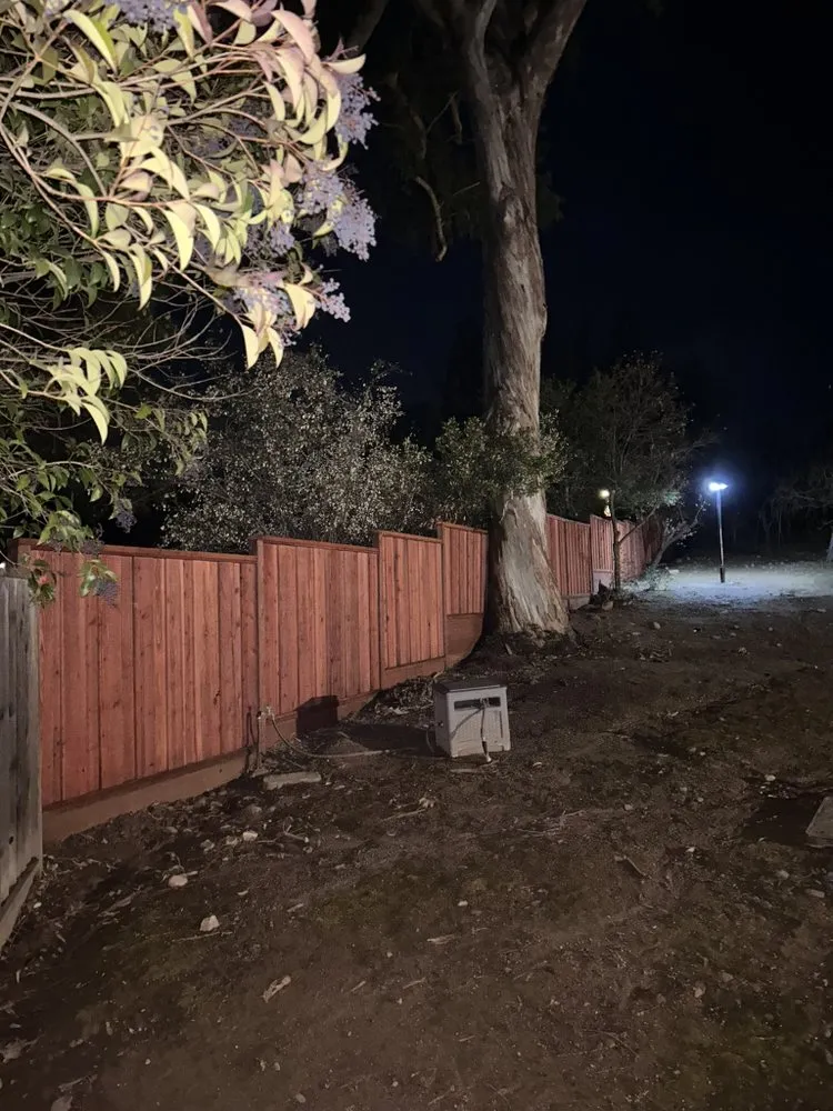 Top-rated garden landscaping experts serving San Jose, CA - Vasquez Tree Specialists & Landscaping