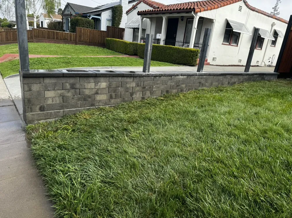 Local yard cleanup service experts serving San Jose, CA - Vasquez Tree Specialists & Landscaping