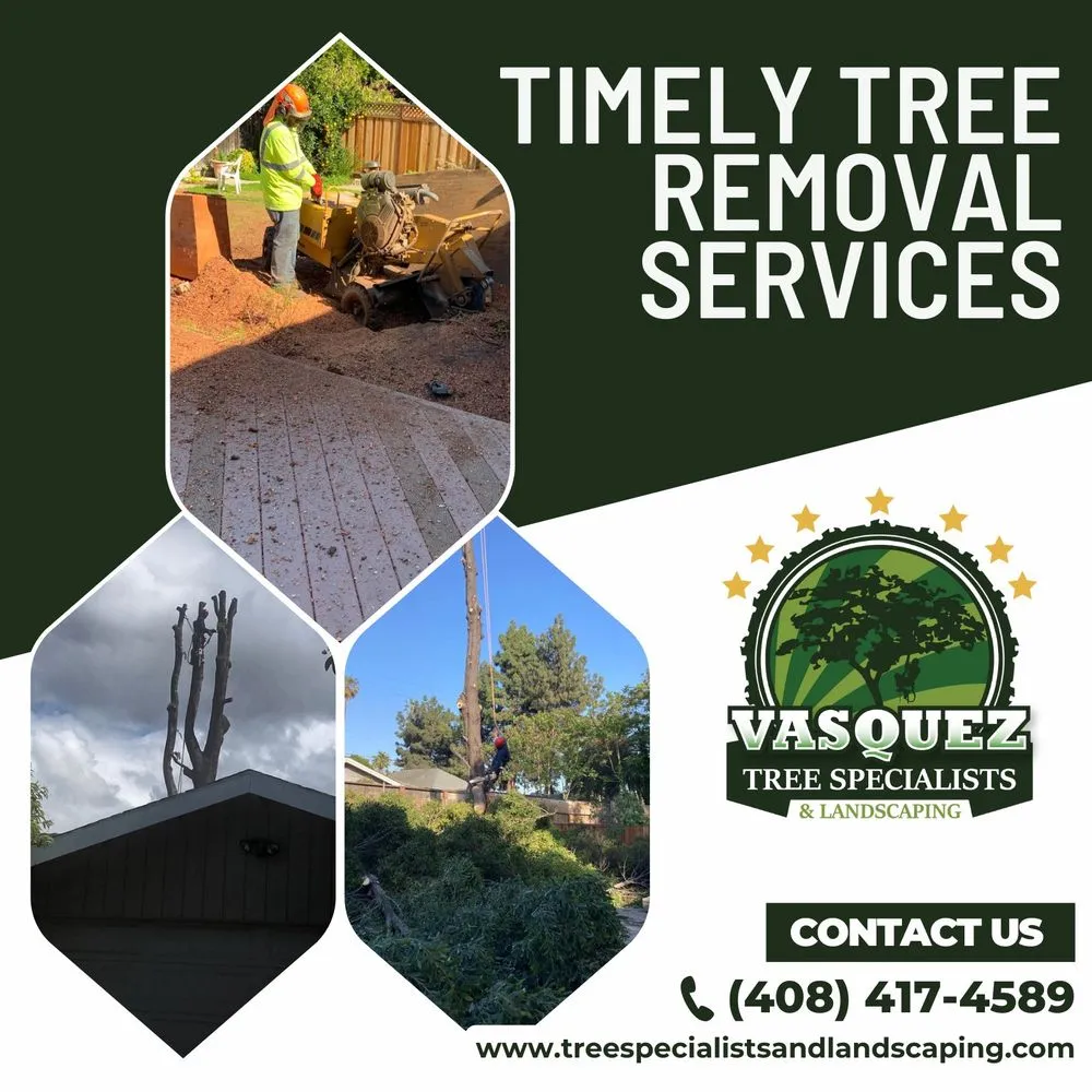 Trusted garden landscaping near you across San Jose, CA - Vasquez Tree Specialists & Landscaping