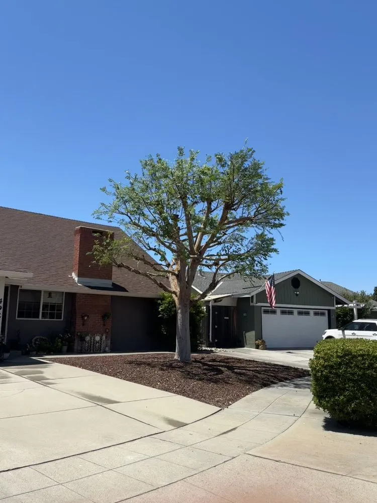 Affordable residential landscaping for homes in San Jose, CA by Vasquez Tree Specialists & Landscaping