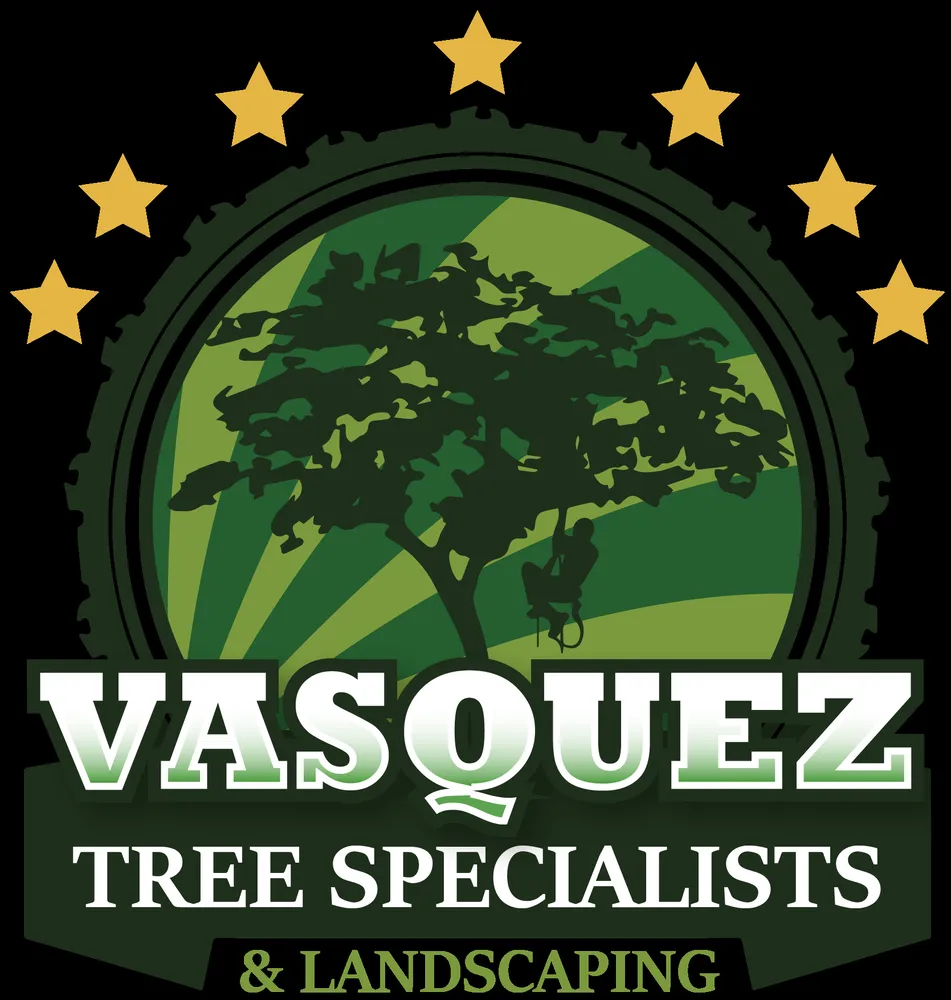 Trusted landscape installation experts serving San Jose, CA - Vasquez Tree Specialists & Landscaping