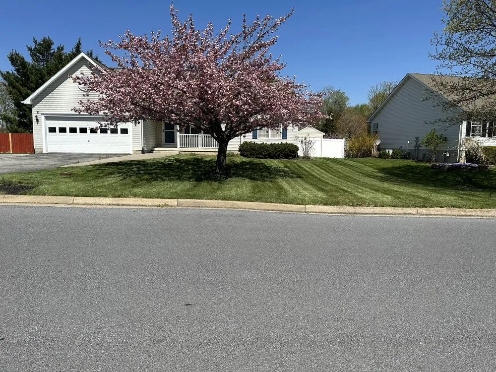 Affordable lawn mowing service in Charles Town, WV - Vasquez’s landscaping