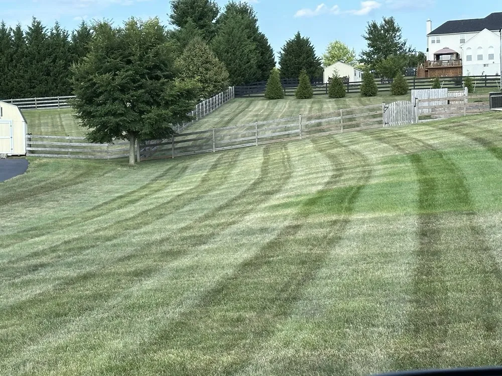 Expert landscaping services for beautiful yards across Charles Town, WV - Vasquez’s landscaping