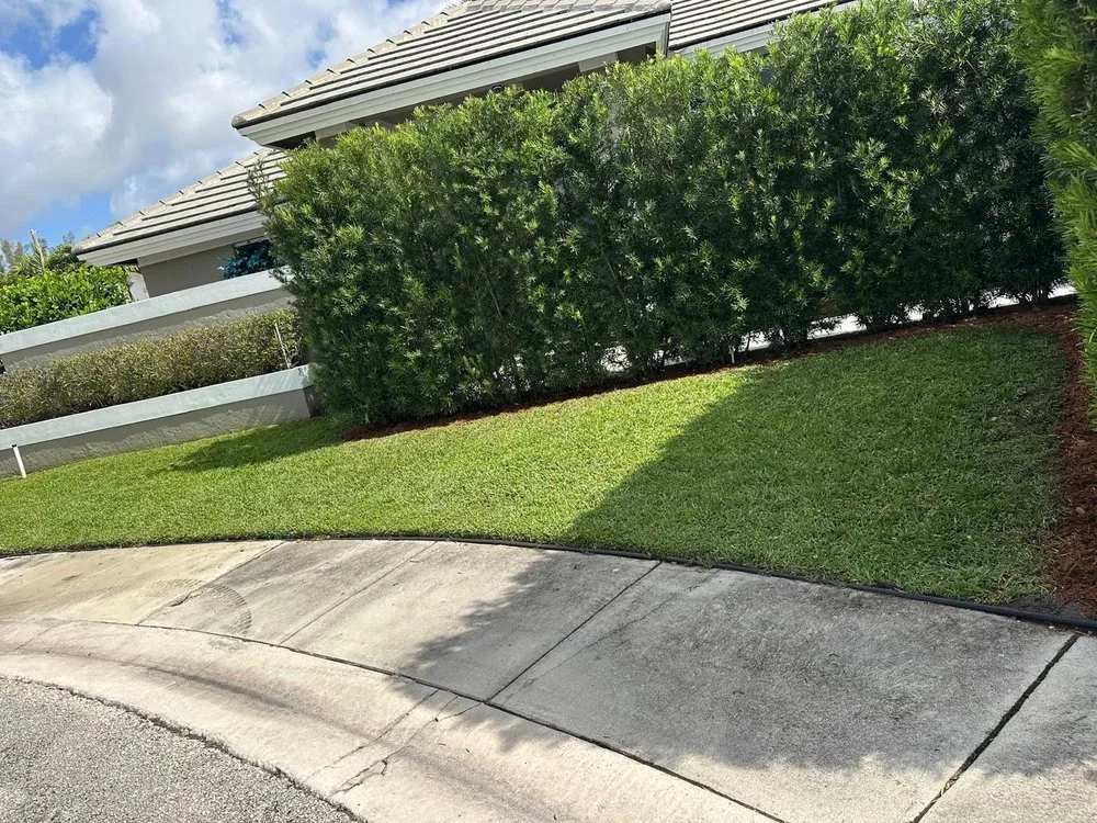 Custom yard cleanup service in Greenacres, FL - Vastagos Lawn Care