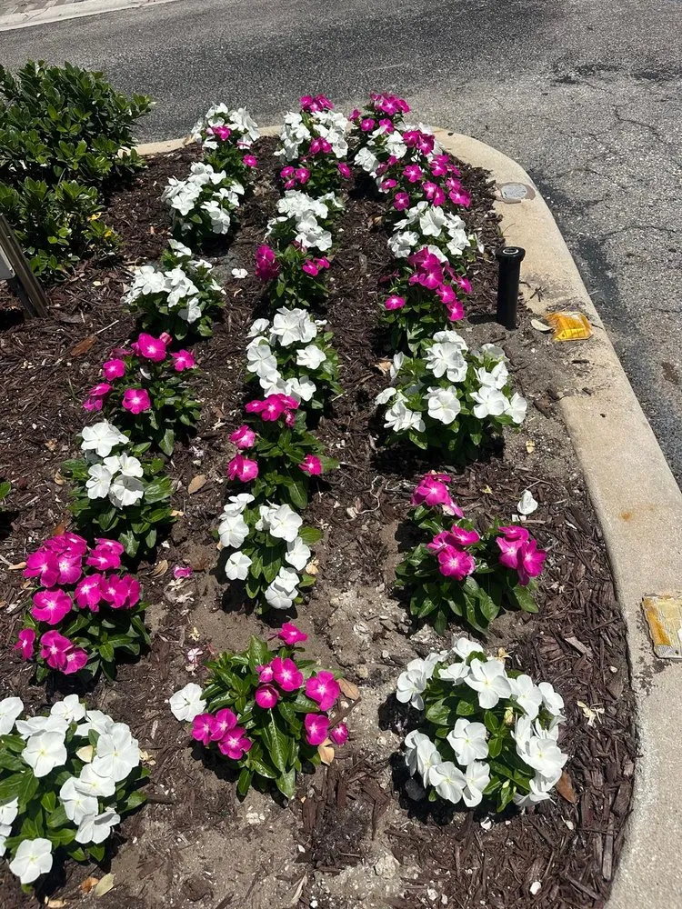 Trusted lawn mowing service for outdoor upgrades across Greenacres, FL - Vastagos Lawn Care