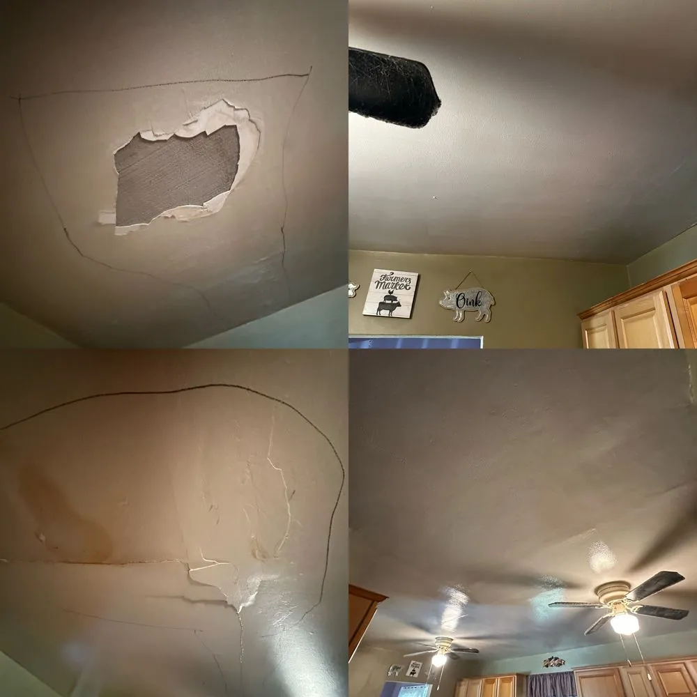 Top-rated landscaping services experts serving Chesapeake, VA - Vaughan Handyman Services