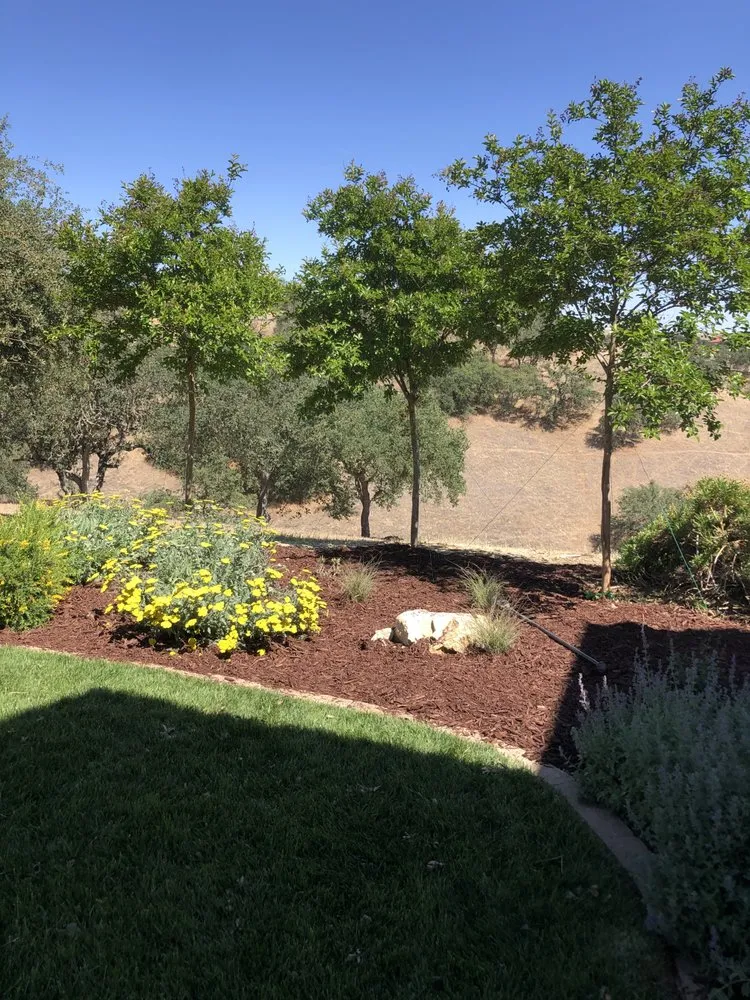 Affordable residential landscaping experts serving Nampa, ID - Vaughan Landscapes