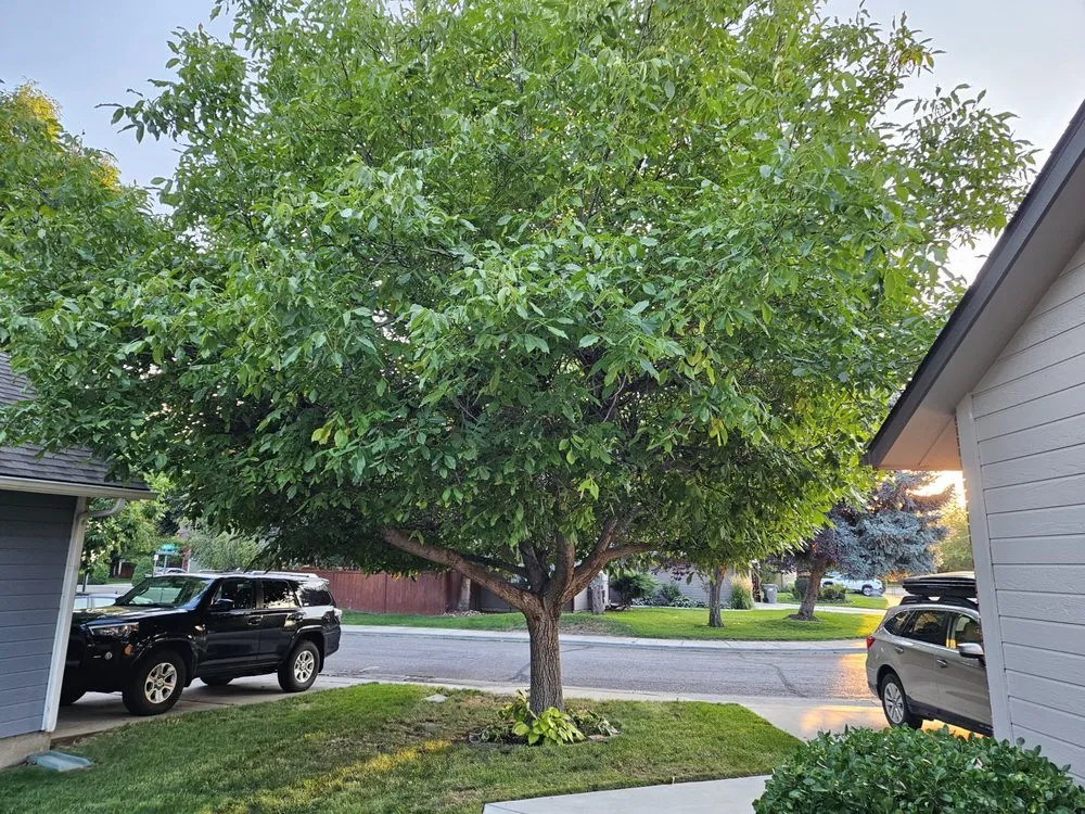 Affordable landscape design for outdoor upgrades across Nampa, ID - Vaughan Landscapes