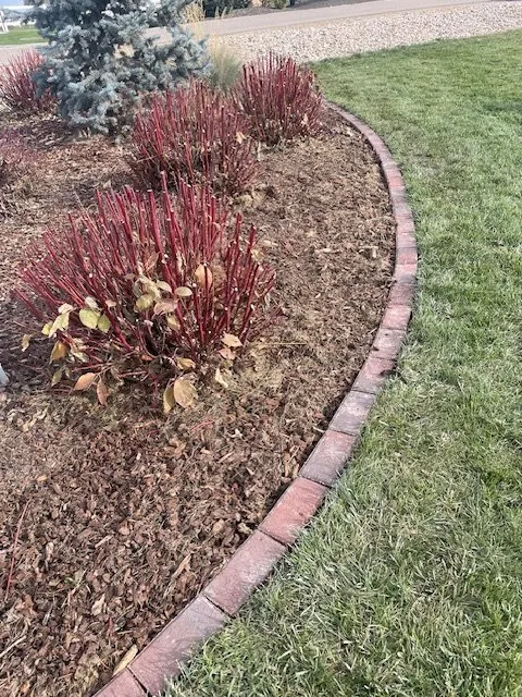 Local lawn care service in Nampa, ID by Vaughan Landscapes