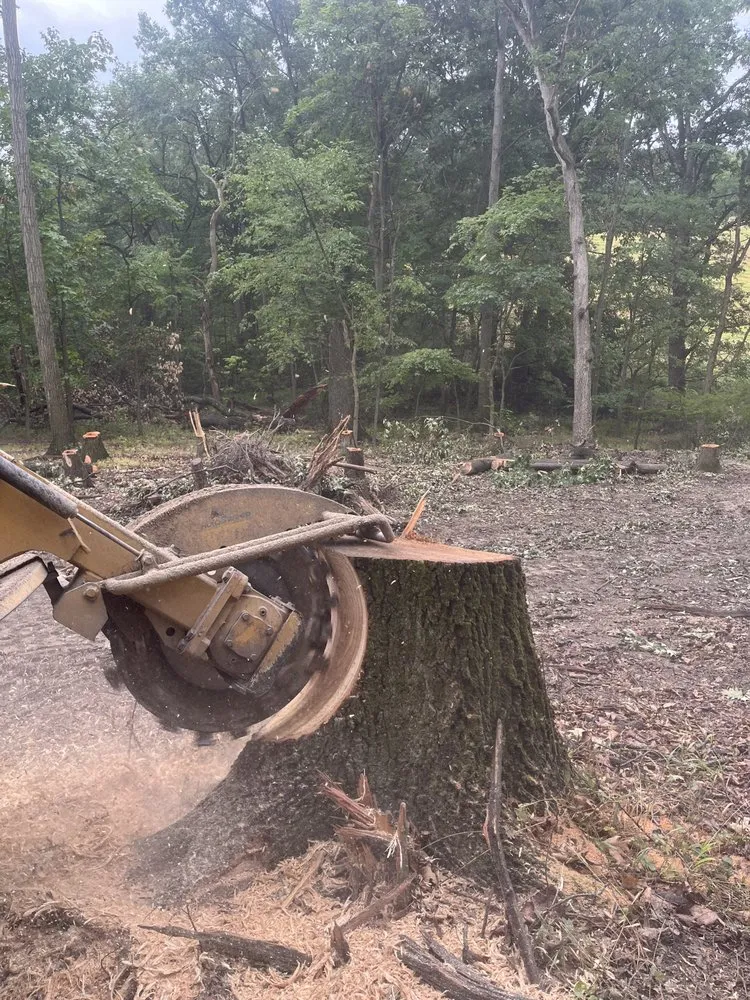 Local yard cleanup service for beautiful yards in Tarentum, PA by Vaughan's Tree Service and Landscaping