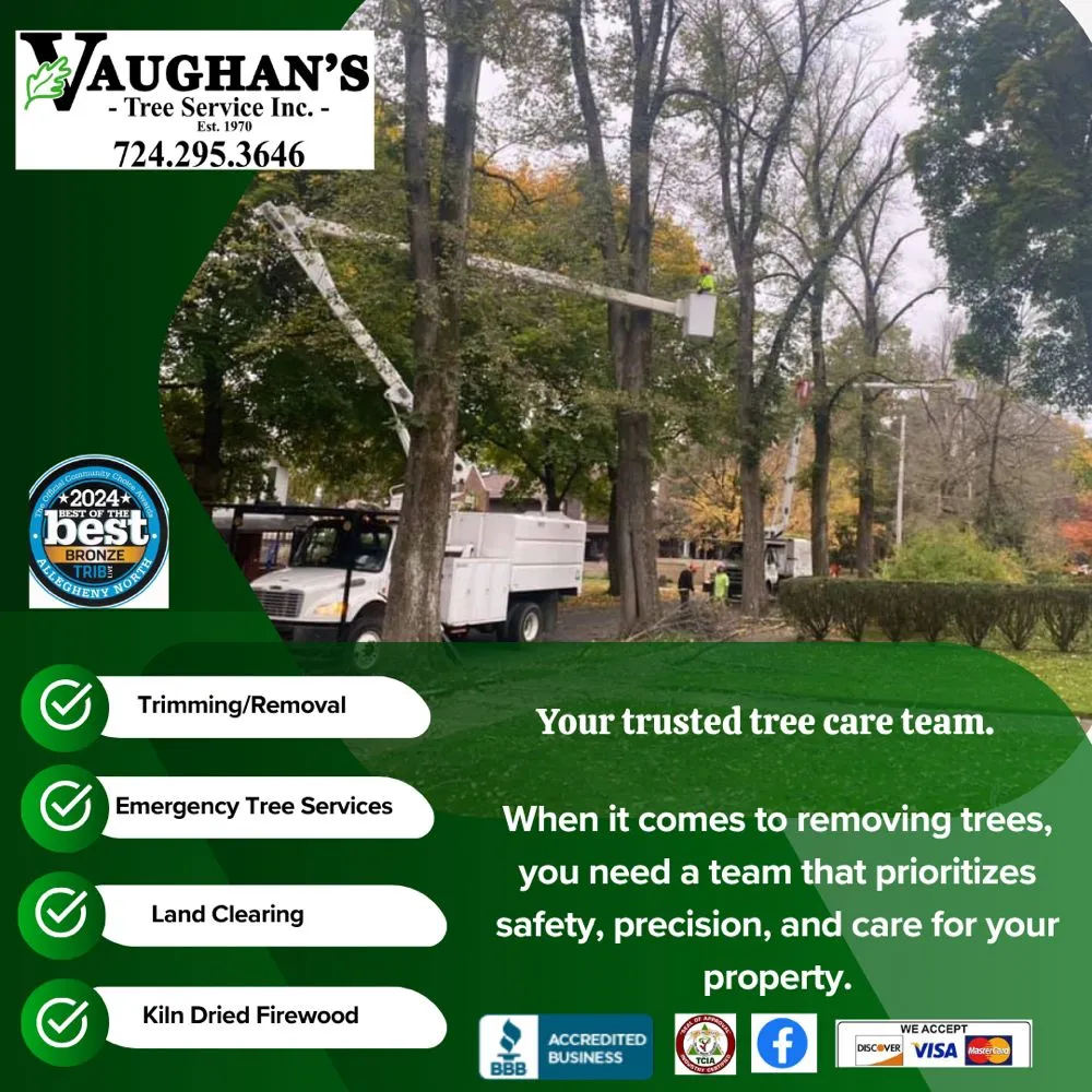 Affordable landscape installation for homes in Tarentum, PA by Vaughan's Tree Service and Landscaping