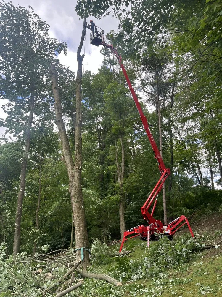 Trusted residential landscaping experts serving Tarentum, PA - Vaughan's Tree Service and Landscaping