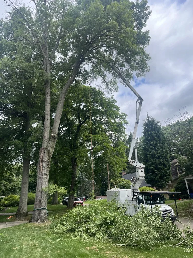 Custom lawn mowing service with custom design across Tarentum, PA - Vaughan's Tree Service and Landscaping