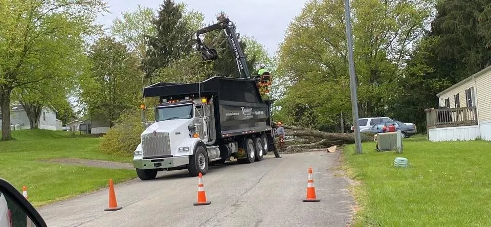 Professional outdoor landscaping experts serving Tarentum, PA - Vaughan's Tree Service and Landscaping