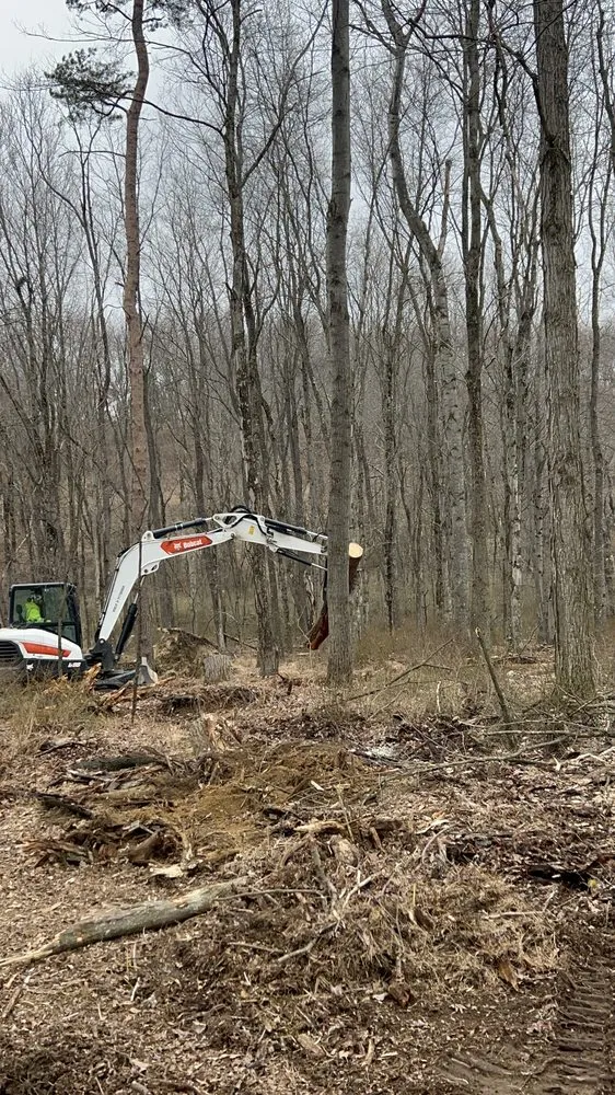 Trusted yard maintenance in Tarentum, PA by Vaughan's Tree Service and Landscaping