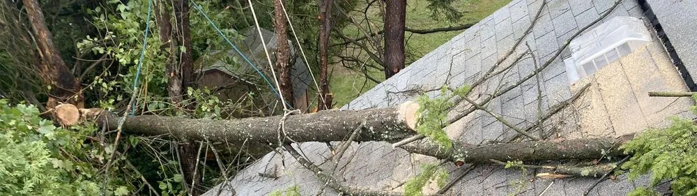 Professional garden landscaping in Tarentum, PA - Vaughan's Tree Service and Landscaping