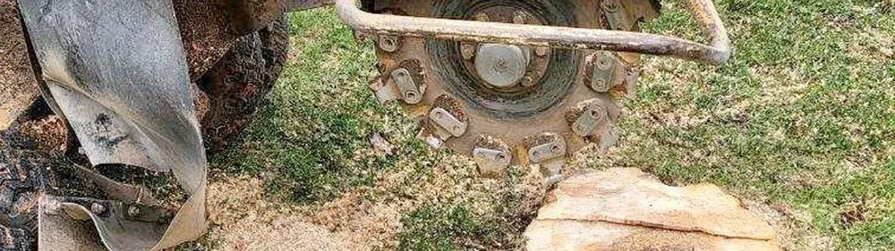 Professional garden landscaping for residential properties across Tarentum, PA - Vaughan's Tree Service and Landscaping