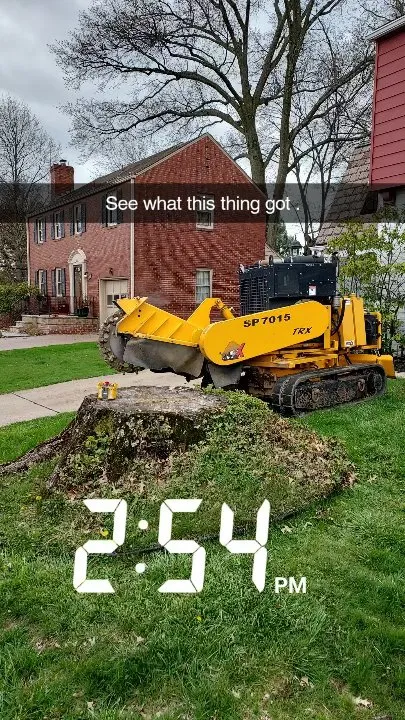 Professional outdoor landscaping in Tarentum, PA by Vaughan's Tree Service and Landscaping